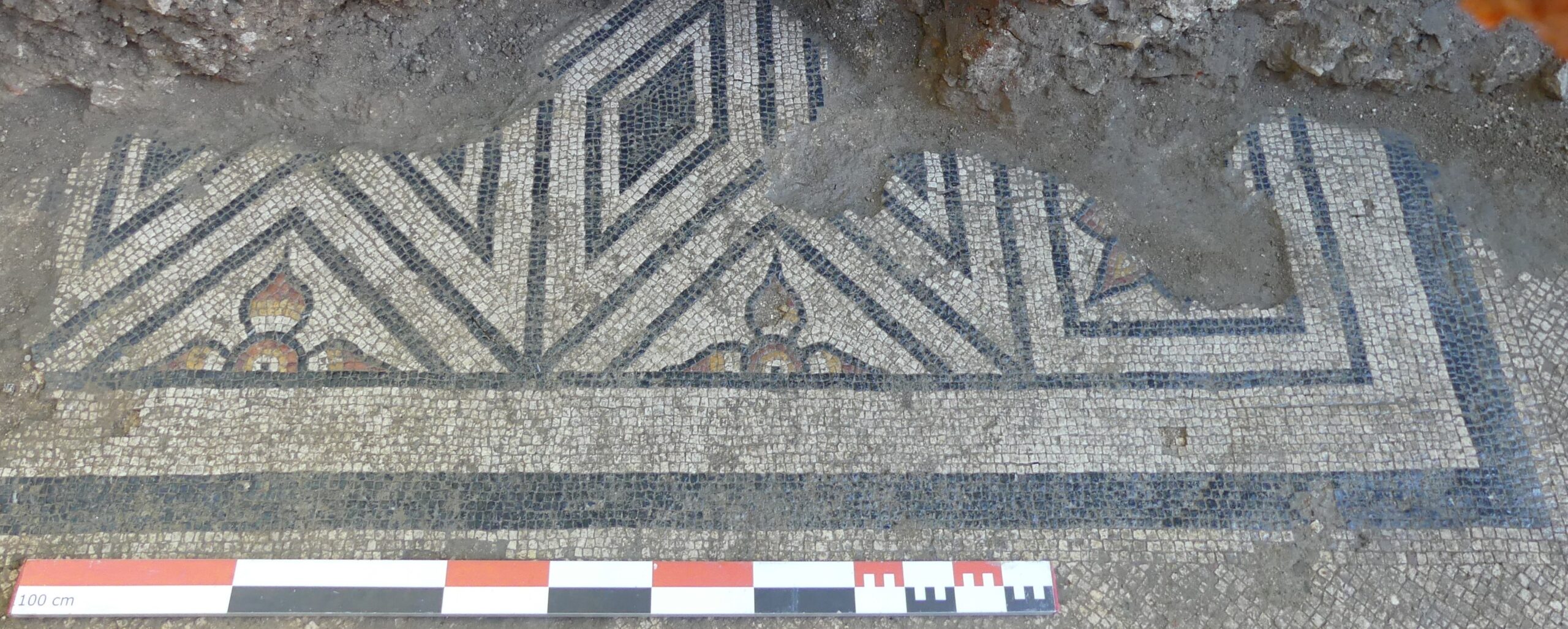 Figure 1 : Mosaïque découverte à Saint-Bertrand-de-Comminges. Photo : J. Leroy Figure 2 : Mosaïques découvertes à la villa gallo-romaine de Plassac. Photo : J. Leroy Figure 3 : Mosaïque découverte à Agen en 2024. Photo : T. Martin (Evéha